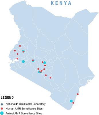 Progress made in digitalizing antimicrobial resistance surveillance in a One Health approach in Kenya